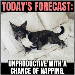 70's Vintage Disco Retro Platform Sandals